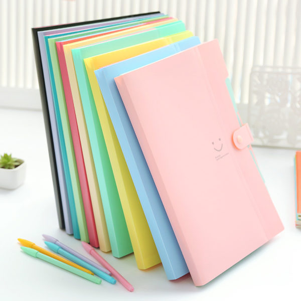 Smile Expanding File Folder