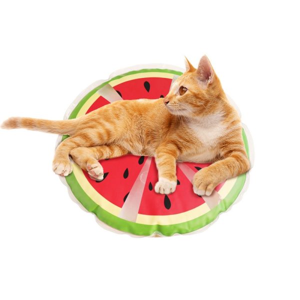 Watermelon Shaped Puppy Pad