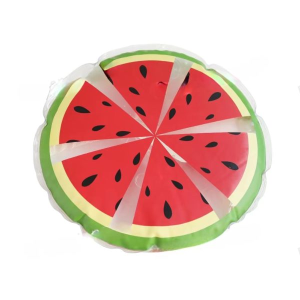 Watermelon Shaped Puppy Pad