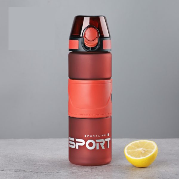 17OZ Plastic Water Bottle