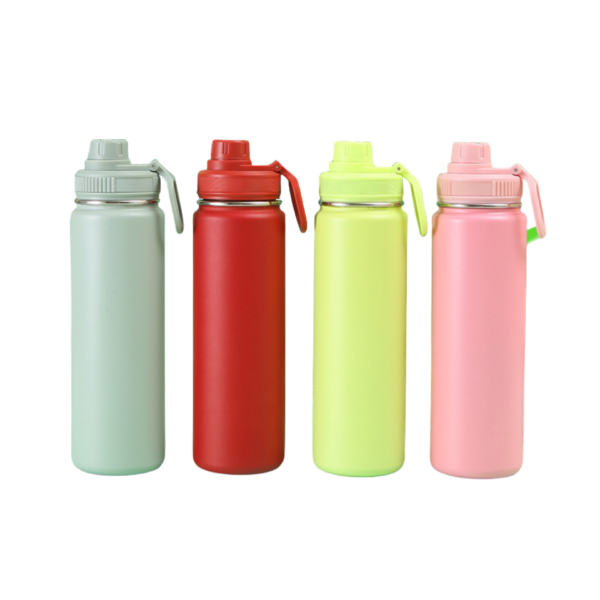 25oz Stainless Steel Insulated Vacuum Bottle with Handle Lid