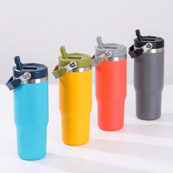 Stainless Steel Vacuum Bottle with Handle Lid