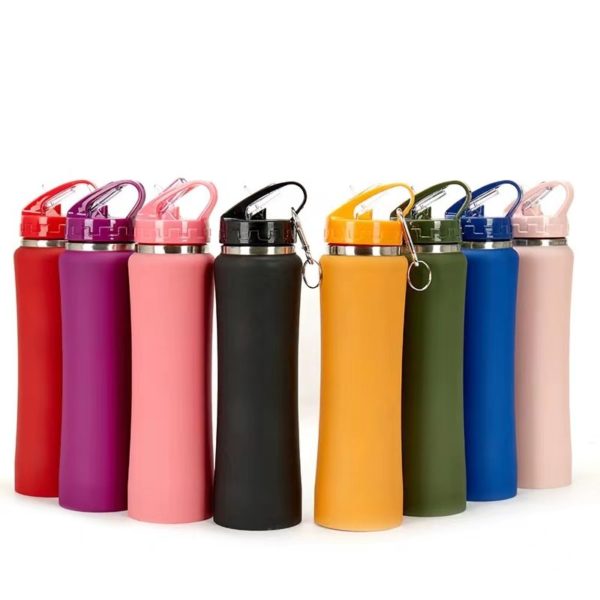 Multi-Color Outdoor Stainless Steel Vacuum Bottle with Handle