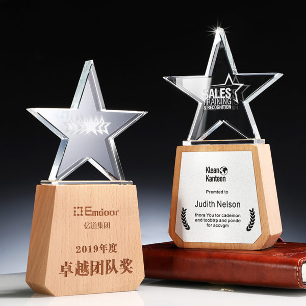 Clear Star Crystal Acrylic Award Paperweight Decoration