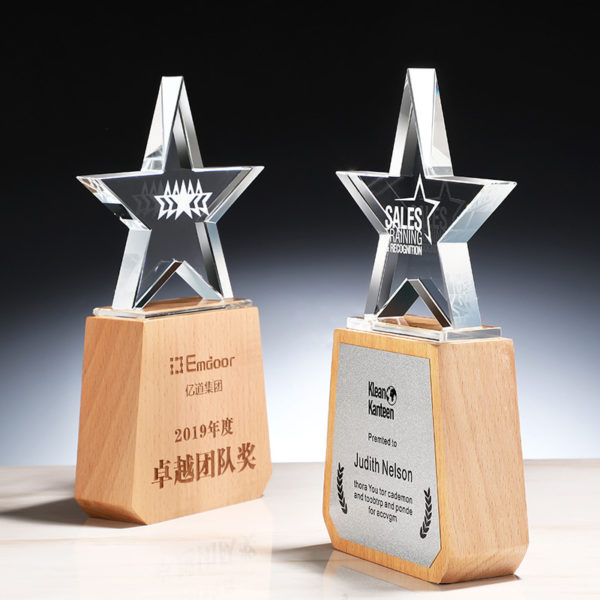 Clear Star Crystal Acrylic Award Paperweight Decoration