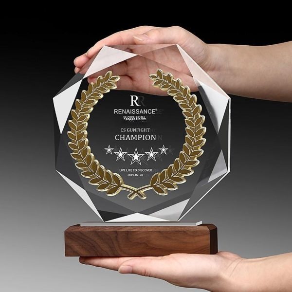 Clear Octagon Crystal Acrylic Award Paperweight Decoration