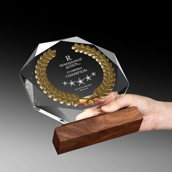 Clear Octagon Crystal Acrylic Award Paperweight Decoration