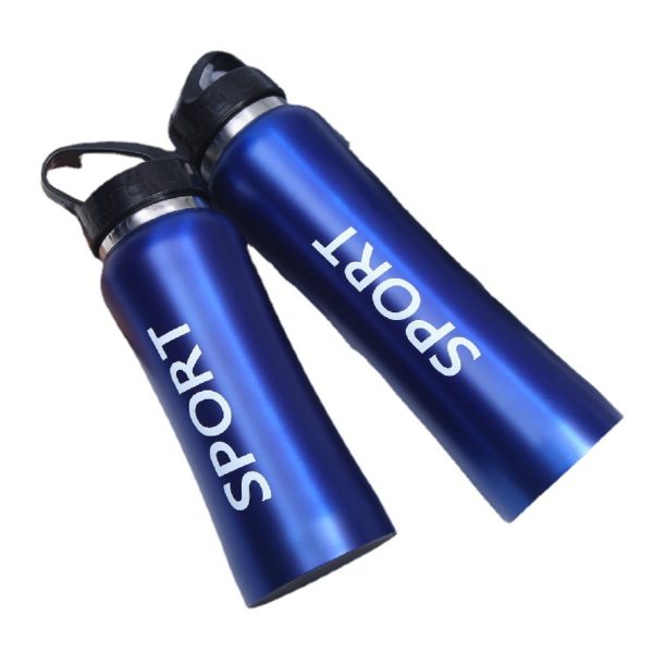 Stainless Steel Insulated Mug Handheld Sippy Sports Bottle