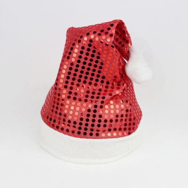 Christmas Santa Hat With Sequin