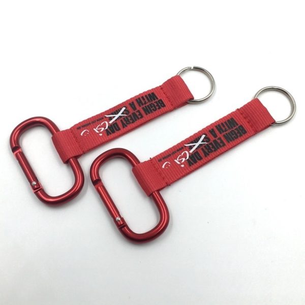 Key Chain Lanyard With Carabiner