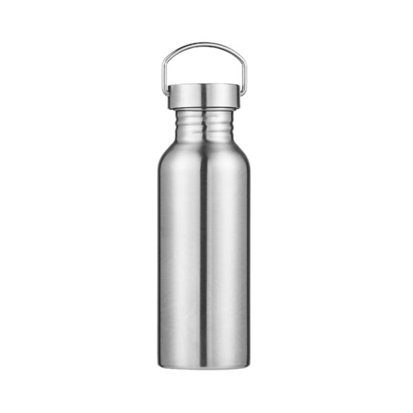 20oz Stainless Steel Water Bottle