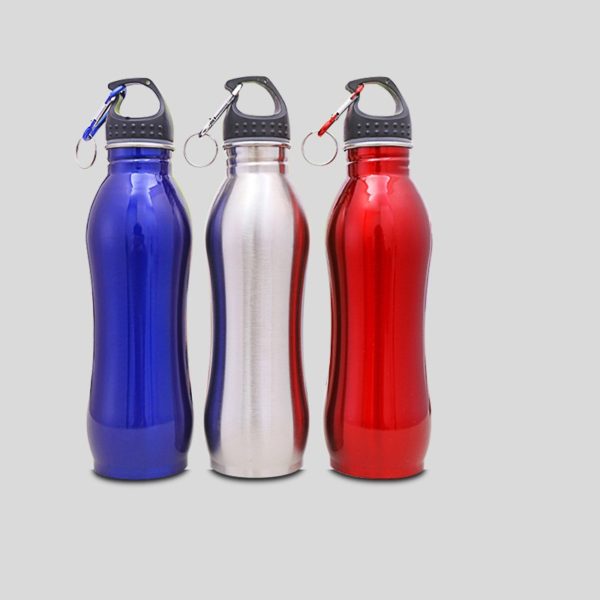 25 oz. Stainless Steel Sports Bottles w Carabiner BPA free