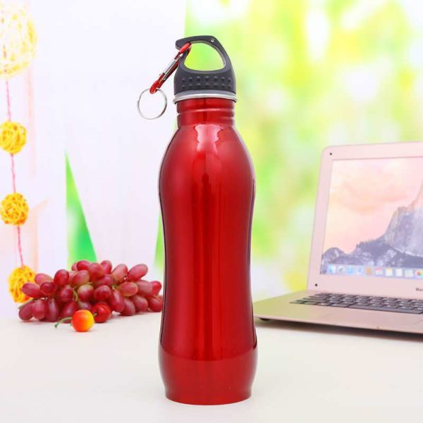 25 oz. Stainless Steel Sports Bottles w Carabiner BPA free