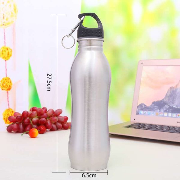 25 oz. Stainless Steel Sports Bottles w Carabiner BPA free