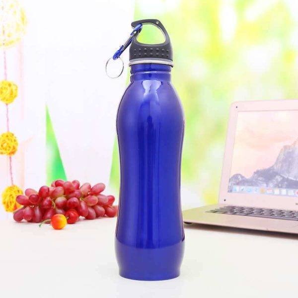 25 oz. Stainless Steel Sports Bottles w Carabiner BPA free