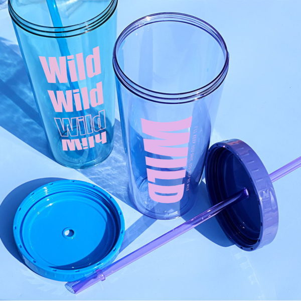 Double Wall Insulated Plastic Tumbler With Lid and Straw