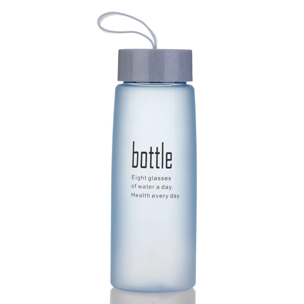 17oz Portable Glass Bottle With Strap