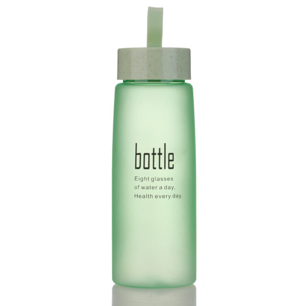 17oz Portable Glass Bottle With Strap