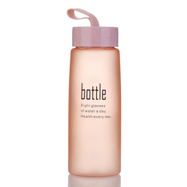 17oz Portable Glass Bottle With Strap