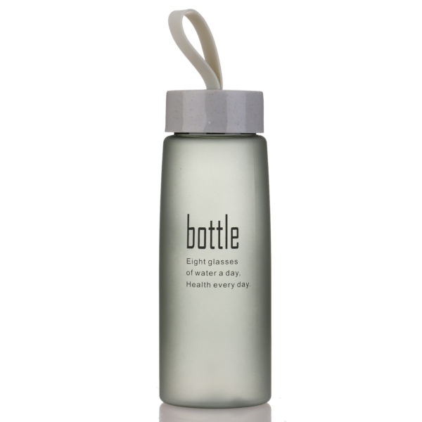 17oz Portable Glass Bottle With Strap