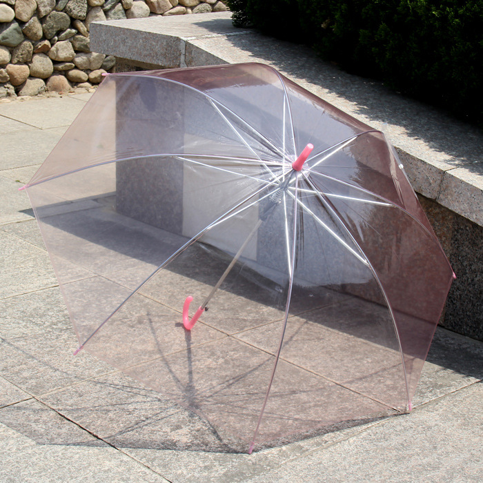 Multi-colored Transparent Umbrella