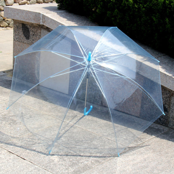 Multi-colored Transparent Umbrella