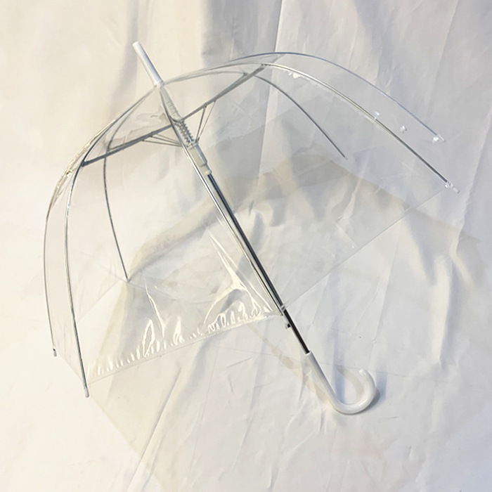 Transparent Bubble Umbrella