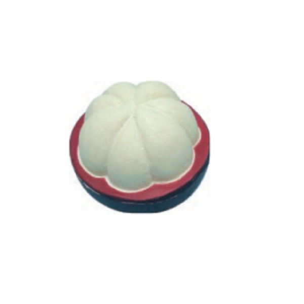 Shelled Mangosteen Shaped Stress Reliever