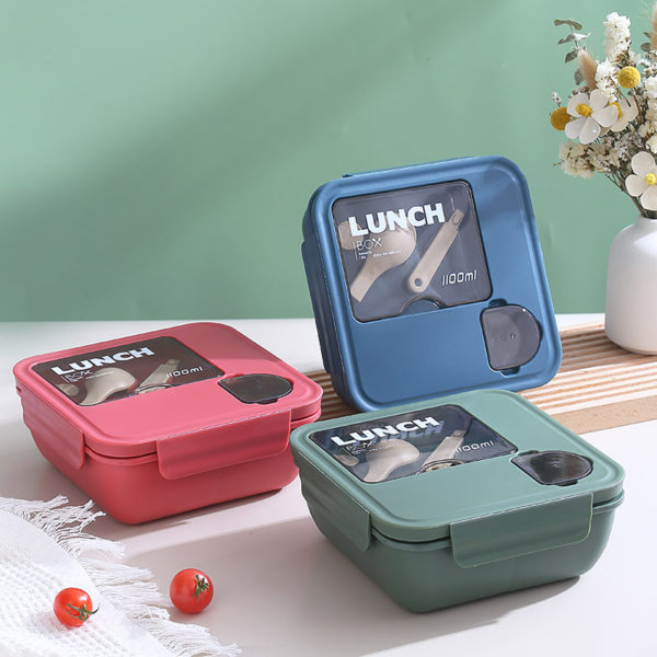 Compartmentalized Salad Picnic Lunchbox