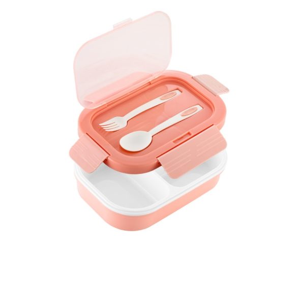 Square Plastic Sealed Lunch Box