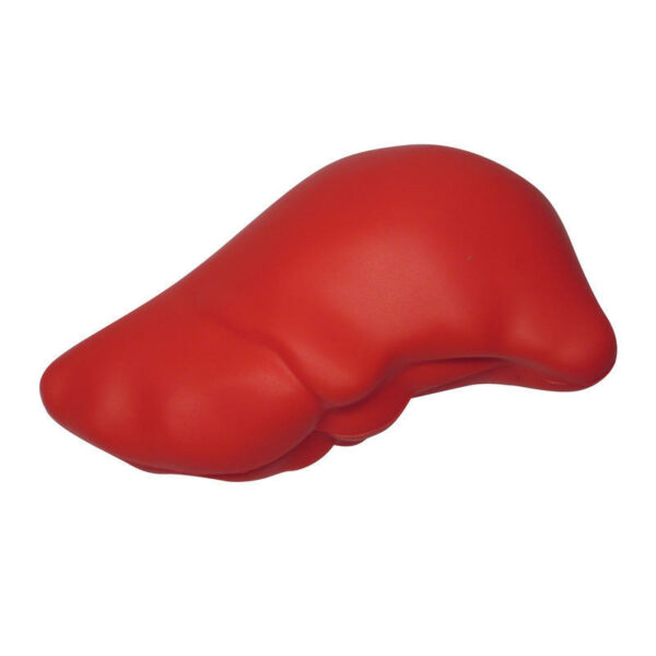 Realistic Liver Shaped Stress Reliever