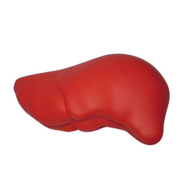 Realistic Liver Shaped Stress Reliever