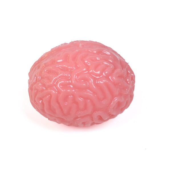 Realistic Brain Shaped Stress Reliever