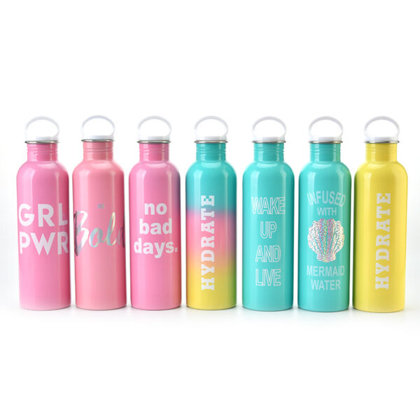 New Single Layer Portable Stainless Steel Bottle