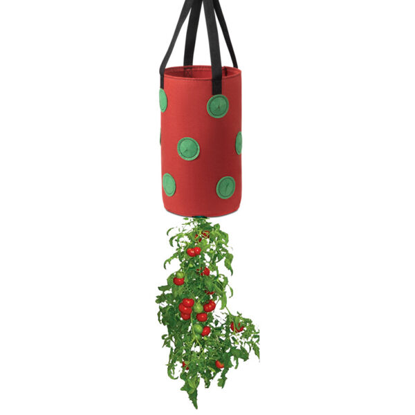 13-hole Hanging Grow Bag with Holes In The Bottom