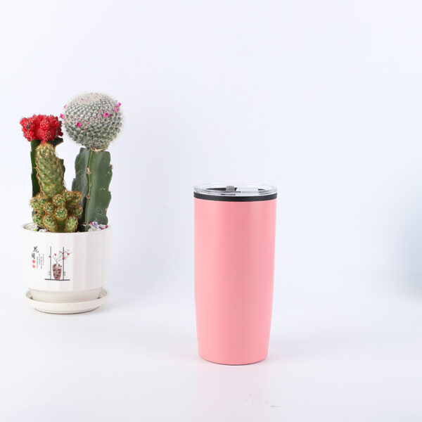 Wholesale 20oz Insulation Cup Double-layer High Value Water Bottle