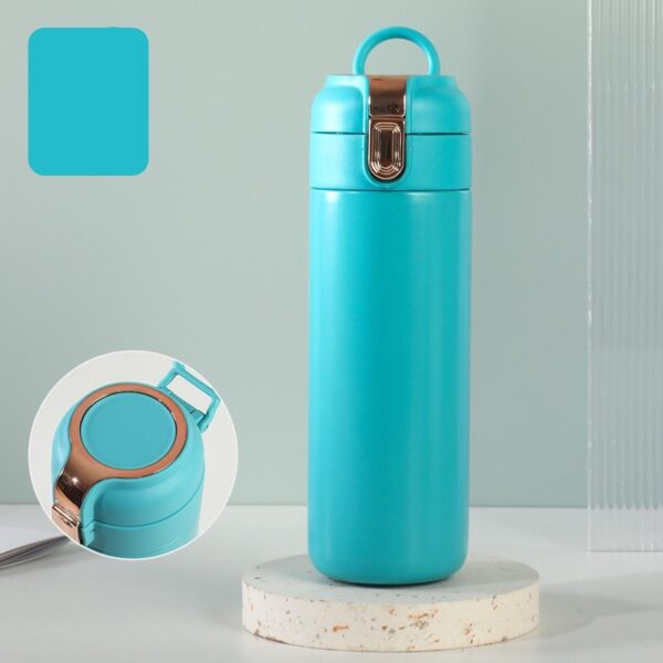 Insulated Stainless Steel Water Bottle