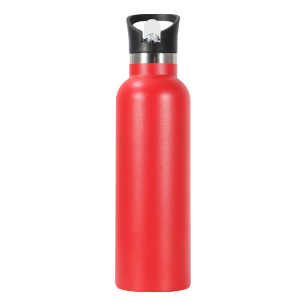 Strictly Selected 25oz Stainless Steel Water Bottle