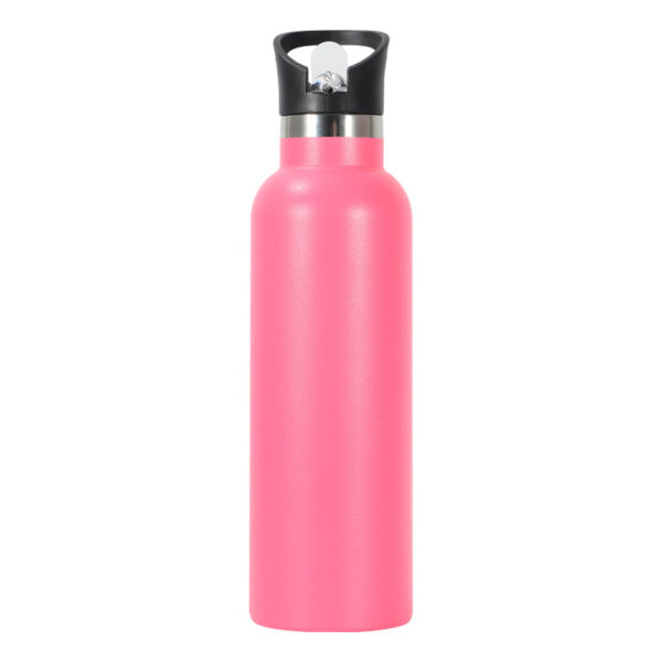 Strictly Selected 25oz Stainless Steel Water Bottle