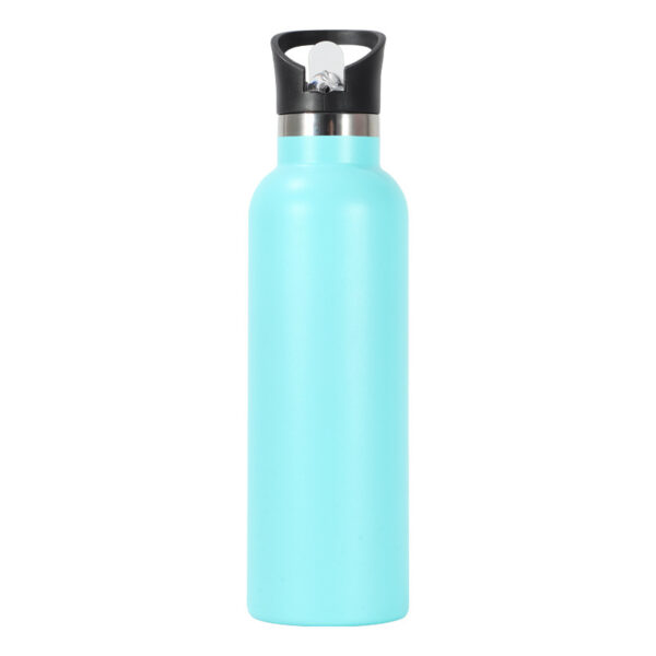 Strictly Selected 25oz Stainless Steel Water Bottle