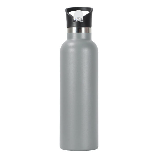 Strictly Selected 25oz Stainless Steel Water Bottle