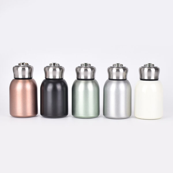 Mini 10oz Insulated Portable Stainless Steel Water Bottle