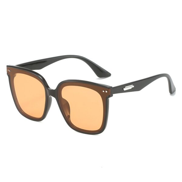 Classic Plastic FDA Approved Adult Sunglasses