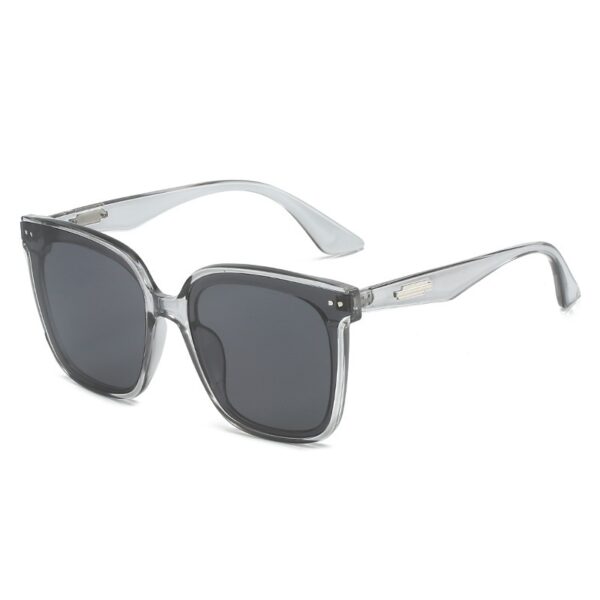 Classic Plastic FDA Approved Adult Sunglasses