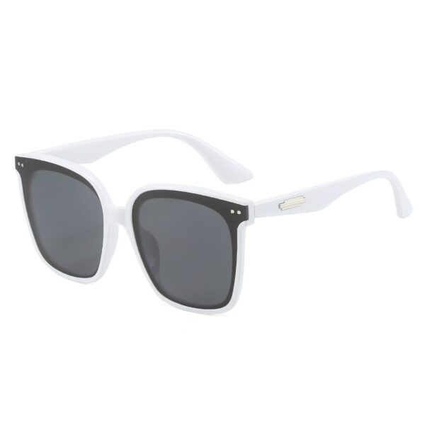 Classic Plastic FDA Approved Adult Sunglasses