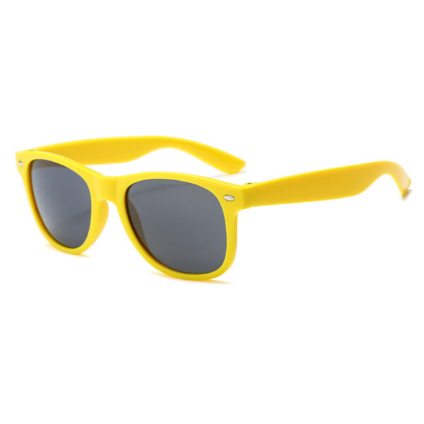 FDA Approved Plastic Classic Frame Sunglasses