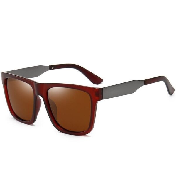 Hipster Square Polarised Sunglasses