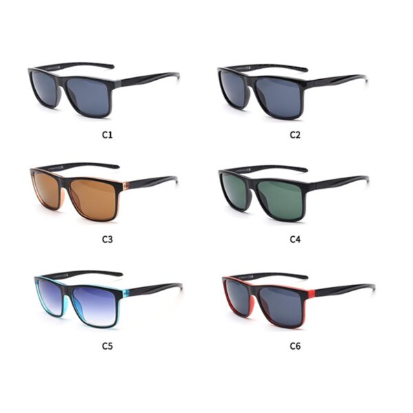 Dazzle Coated Polarised Sunglasses