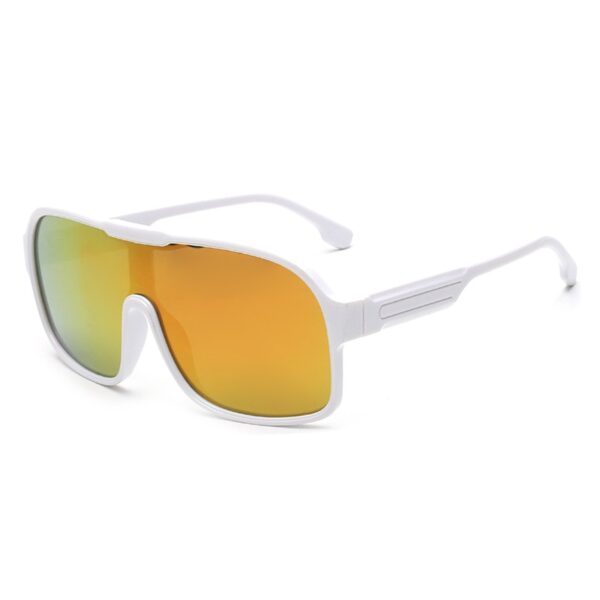 UV Protective Polarised Sunglasses