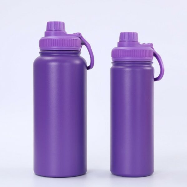 18oz New Stainless Steel Insulated Active Water Bottle w/ Spout Lid